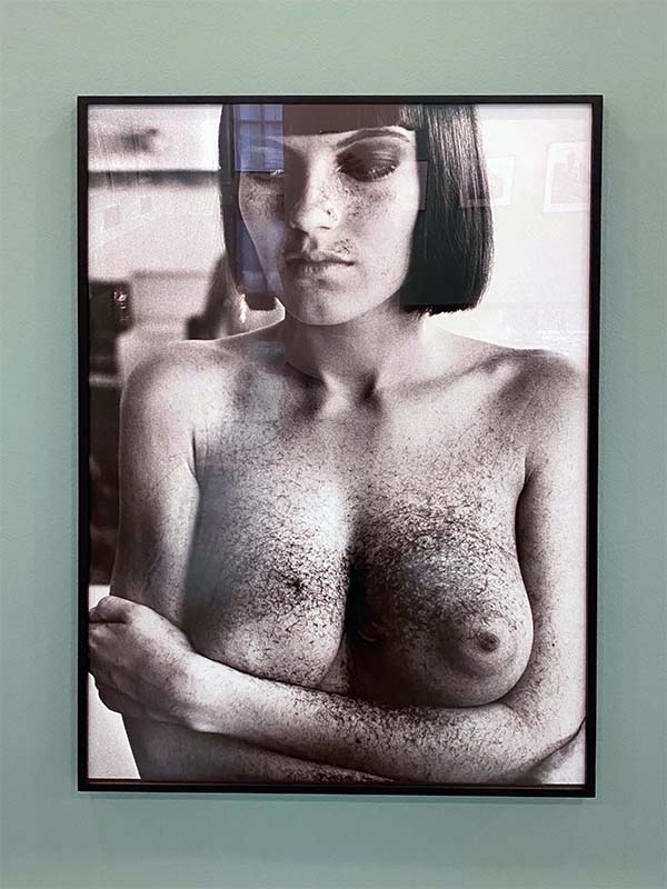 Helmut Newton Legacy