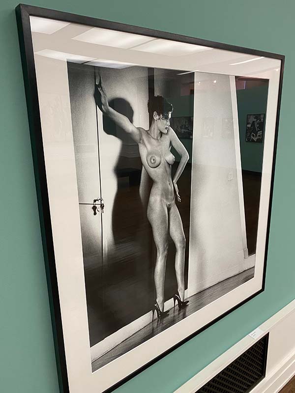 Helmut Newton Legacy