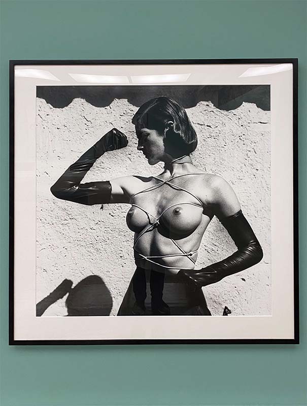Helmut Newton Legacy