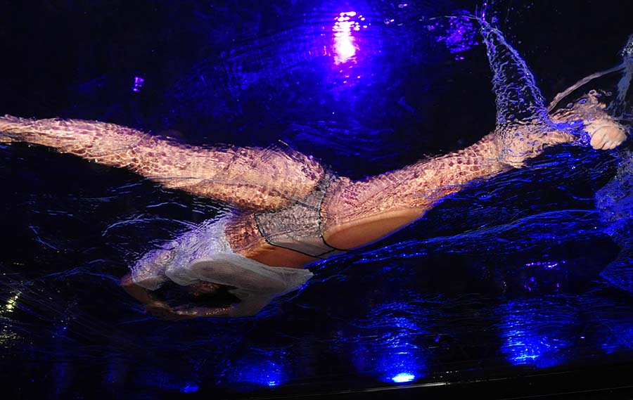 La Fuerza Dance Company